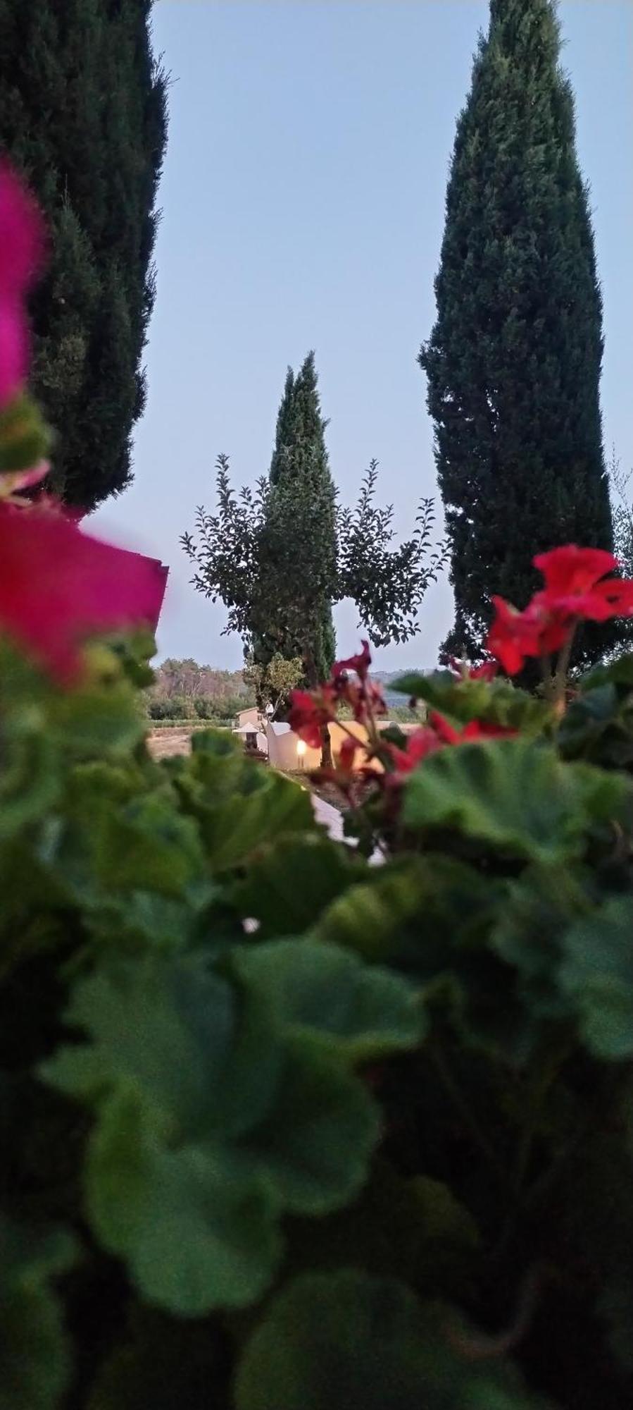 I Salici Agriturismo Badia Agnano Exterior photo